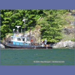 2005_0583_Cutter_Cove_Log_Spill.html