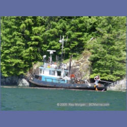 2005_0584_Cutter_Cove_Log_Spill.html
