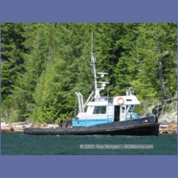 2005_0585_Cutter_Cove_Log_Spill.html