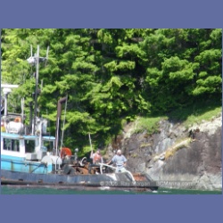 2005_0586_Cutter_Cove_Log_Spill.html