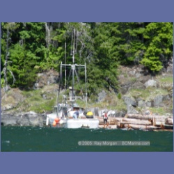 2005_0587_Cutter_Cove_Log_Spill.html