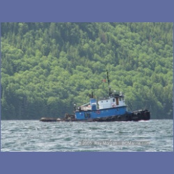 2005_0588_Cutter_Cove_Log_Spill.html