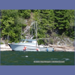 2005_0589_Cutter_Cove_Log_Spill.html