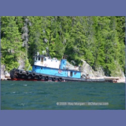 2005_0591_Cutter_Cove_Log_Spill.html