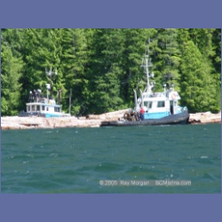 2005_0592_Cutter_Cove_Log_Spill.html