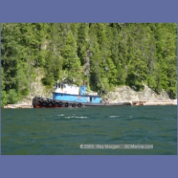 2005_0593_Cutter_Cove_Log_Spill.html