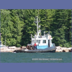 2005_0594_Cutter_Cove_Log_Spill.html