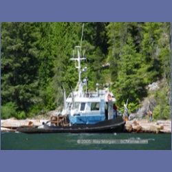 2005_0595_Cutter_Cove_Log_Spill.html