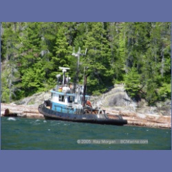 2005_0596_Cutter_Cove_Log_Spill.html