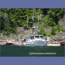 2005_0597_Cutter_Cove_Log_Spill.html