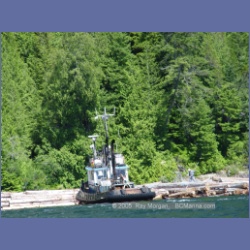 2005_0599_Cutter_Cove_Log_Spill.html