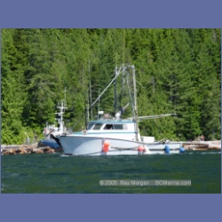 2005_0600_Cutter_Cove_Log_Spill.html
