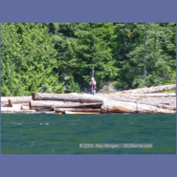 2005_0601_Cutter_Cove_Log_Spill.html