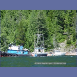 2005_0602_Cutter_Cove_Log_Spill.html