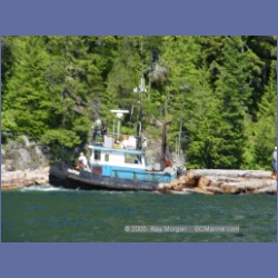 2005_0604_Cutter_Cove_Log_Spill.html