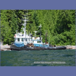 2005_0605_Cutter_Cove_Log_Spill.html