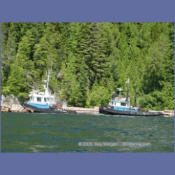 2005_0606_Cutter_Cove_Log_Spill.html