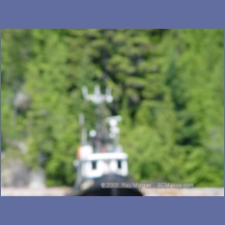 2005_0607_Cutter_Cove_Log_Spill.html