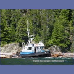 2005_0609_Cutter_Cove_Log_Spill.html