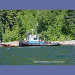 2005_0610_Cutter_Cove_Log_Spill.html