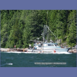 2005_0614_Cutter_Cove_Log_Spill.html