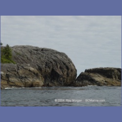 2004_6844_Day_Point_McInnes_Island.html