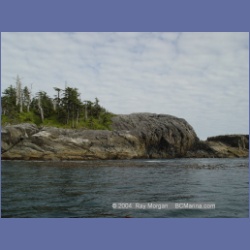 2004_6847_Day_Point_McInnes_Island.html