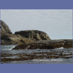 2004_6848_Day_Point_McInnes_Island.html
