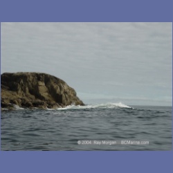 2004_6849_Day_Point_McInnes_Island.html