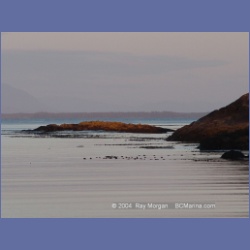 2004_6864_Day_Point_Anchorage_McInnes_Island.html