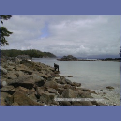 2002_127_Dempster_Island_BarkleySound.html