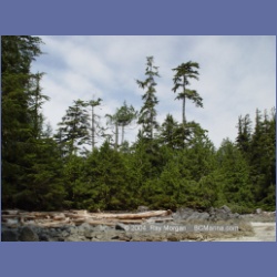 2003_2720_Dempster_Island_Barkley_Sound.html