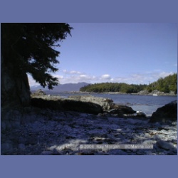 2002_029_Diana_Island_BarkleySound.html