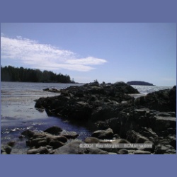 2002_030_Diana_Island_BarkleySound.html