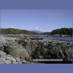 2002_032_Diana_Island_BarkleySound.html
