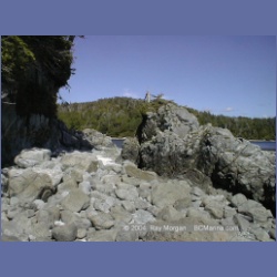 2002_033_Diana_Island_BarkleySound.html