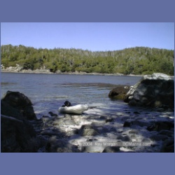 2002_034_Diana_Island_BarkleySound.html