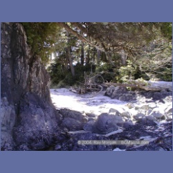 2002_035_Diana_Island_BarkleySound.html