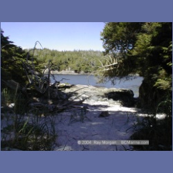 2002_037_Diana_Island_BarkleySound.html