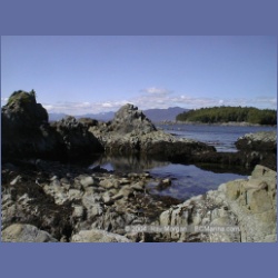 2002_038_Diana_Island_BarkleySound.html