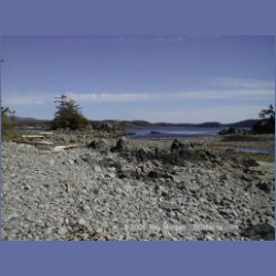 2002_039_Diana_Island_BarkleySound.html