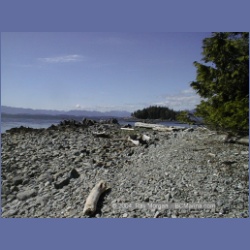 2002_040_Diana_Island_BarkleySound.html