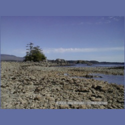 2002_041_Diana_Island_BarkleySound.html