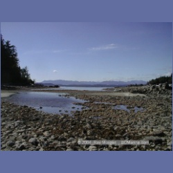 2002_042_Diana_Island_BarkleySound.html
