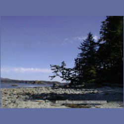 2002_043_Diana_Island_BarkleySound.html
