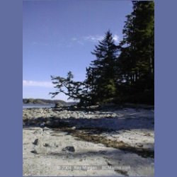 2002_044_Diana_Island_BarkleySound.html
