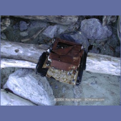 2002_046_Diana_Island_BarkleySound.html