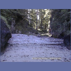 2002_052_Diana_Island_BarkleySound.html