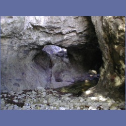 2002_056_Diana_Island_BarkleySound.html