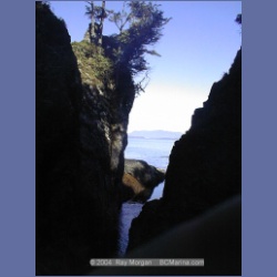 2002_061_Diana_Island_BarkleySound.html